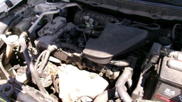 Pacific Auto Auction 2025.07.15.100_0091.JPG