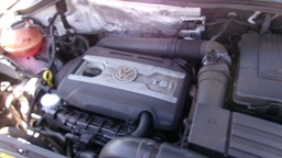 Pacific Auto Auction 2025.07.15.100_0135.JPG