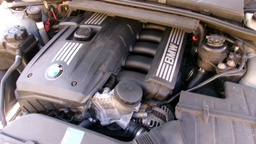 Pacific Auto Auction 2025.07.15.100_0261.JPG