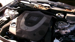 Pacific Auto Auction 2025.07.22.100_0423.JPG