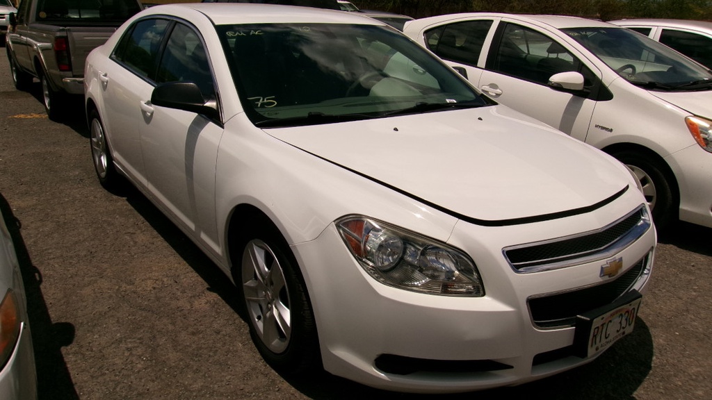 Pacific Auto Auction 2025.07.29.100_0113.JPG