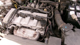 Pacific Auto Auction 2025.07.29.100_0144.JPG