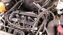 Pacific Auto Auction 2025.07.29.100_0155.JPG