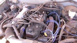Pacific Auto Auction 2025.07.29.100_0384.JPG