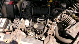 Pacific Auto Auction 2025.08.05.100_0077.JPG