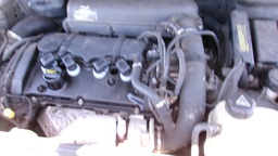 Pacific Auto Auction 2025.08.12.100_0003.JPG