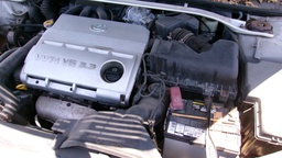 Pacific Auto Auction 2025.08.12.100_0015.JPG