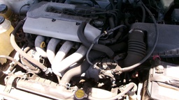 Pacific Auto Auction 2025.08.12.100_0049.JPG