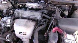 Pacific Auto Auction 2025.08.12.100_0138.JPG