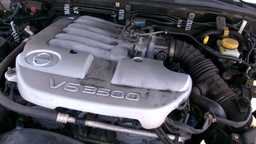 Pacific Auto Auction 2025.08.12.100_0148.JPG