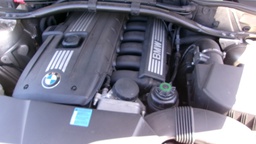 Pacific Auto Auction 2025.08.12.100_0170.JPG