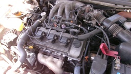 Pacific Auto Auction 2025.08.12.100_0212.JPG