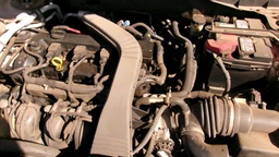 Pacific Auto Auction 2025.08.12.100_0523.JPG