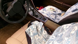Pacific Auto Auction 2025.08.19.100_0009.JPG