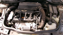 Pacific Auto Auction 2025.08.19.100_0279.JPG