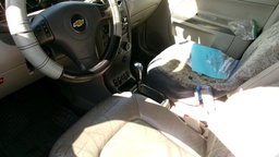 Pacific Auto Auction 2025.08.12.100_0473.JPG