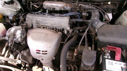 Pacific Auto Auction 2025.09.02.100_0013.JPG