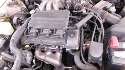 Pacific Auto Auction 2025.09.02.100_0144.JPG