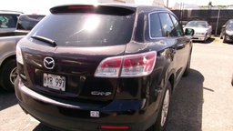 Pacific Auto Auction 2025.08.12.100_0197.JPG