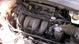 LFD1.jfif