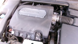 Pacific Auto Auction 2025.09.16.100_0068.JPG