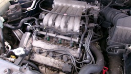 Pacific Auto Auction 2025.09.16.100_0079.JPG