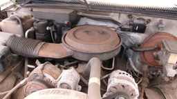 Pacific Auto Auction 2025.09.16.100_0172.JPG
