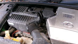 Pacific Auto Auction 2025.09.16.100_0183.JPG