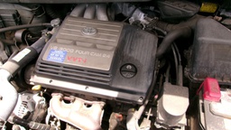 Pacific Auto Auction 2025.09.16.100_0205.JPG