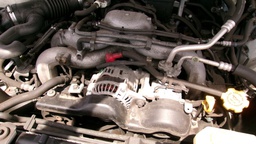 Pacific Auto Auction 2025.09.16.100_0227.JPG