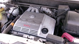 Pacific Auto Auction 2025.09.16.100_0305.JPG