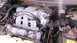 Pacific Auto Auction 2025.09.16.100_0338.JPG