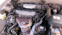Pacific Auto Auction 2025.09.16.100_0387.JPG