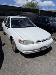 IMG_1537.jpeg