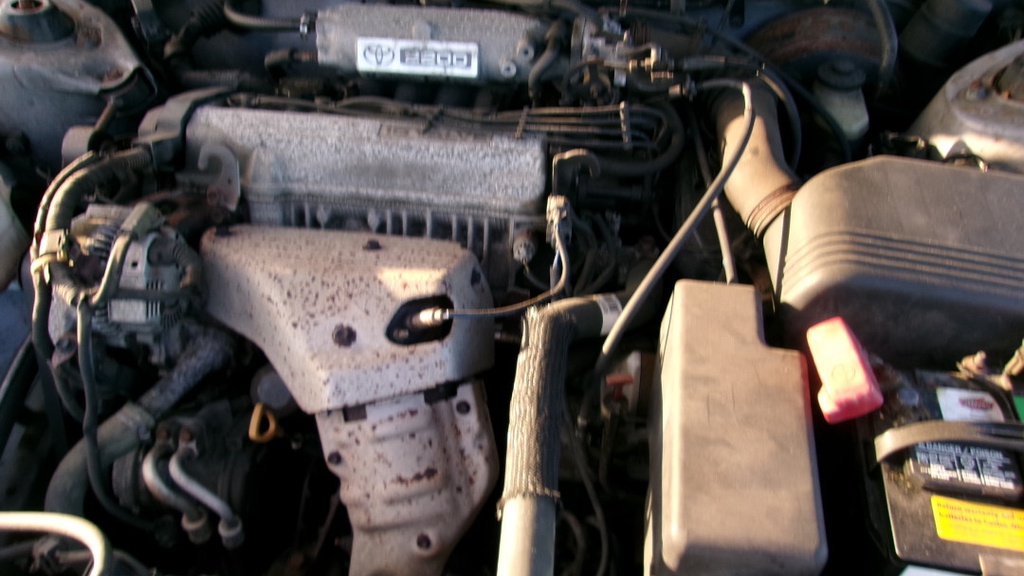 Pacific Auto Auction 2025.10.07.100_0027.JPG