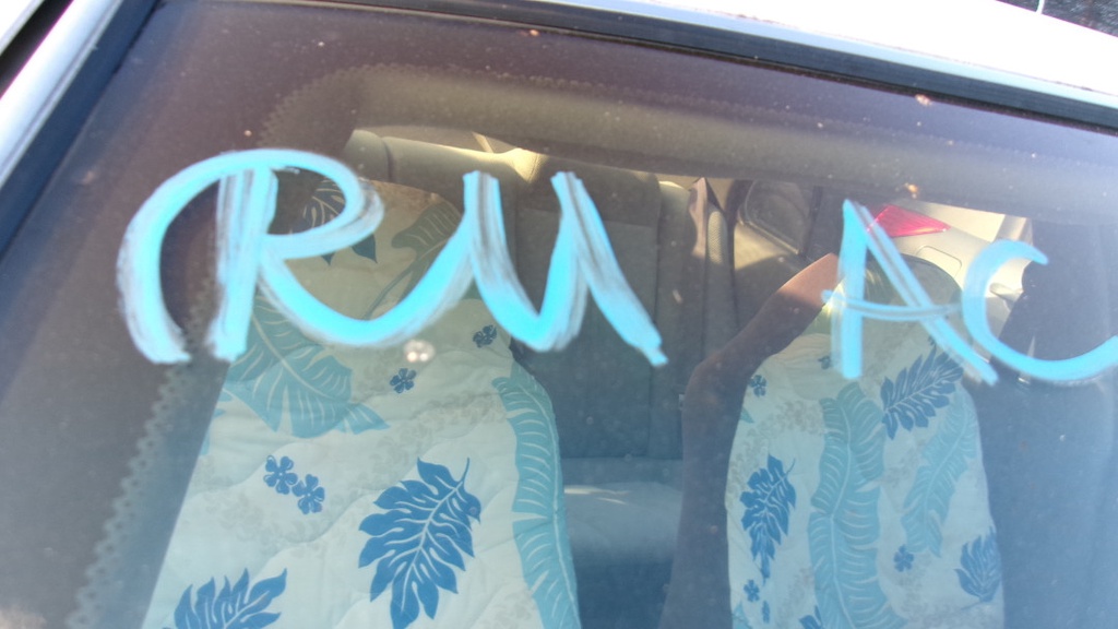 Pacific Auto Auction 2025.10.07.100_0031.JPG