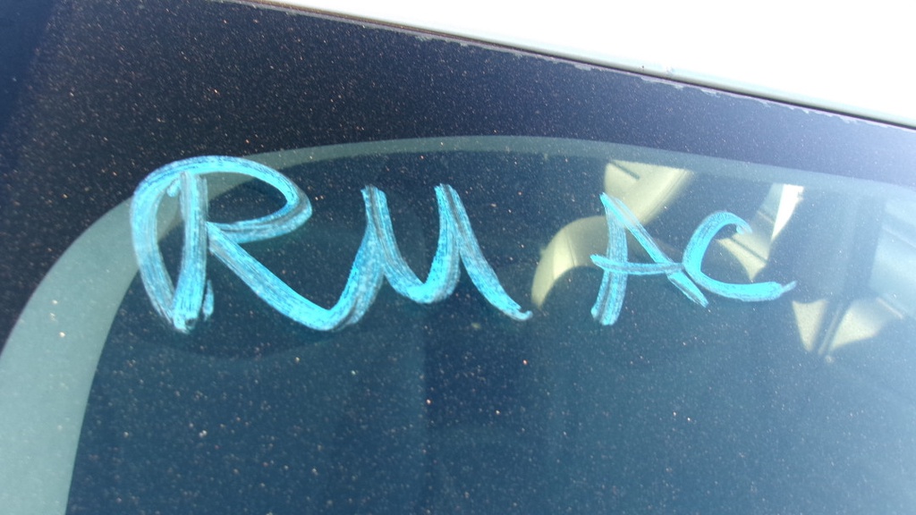 Pacific Auto Auction 2025.10.07.100_0041.JPG