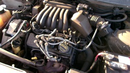 Pacific Auto Auction 2025.10.07.100_0048.JPG