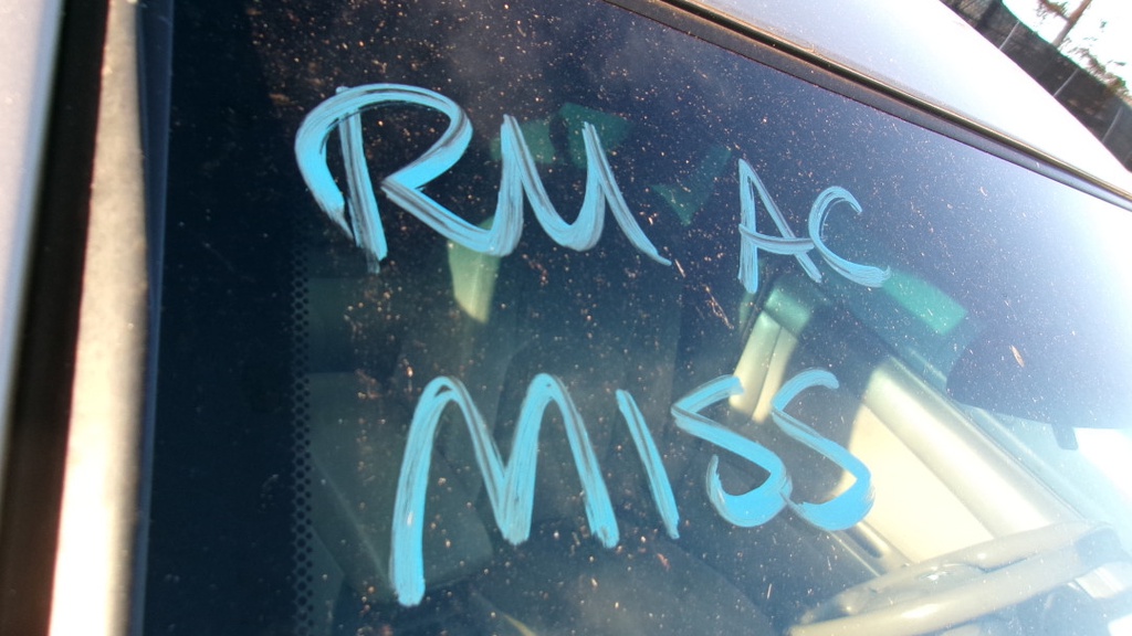 Pacific Auto Auction 2025.10.07.100_0096.JPG