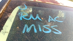 Pacific Auto Auction 2025.10.07.100_0118.JPG