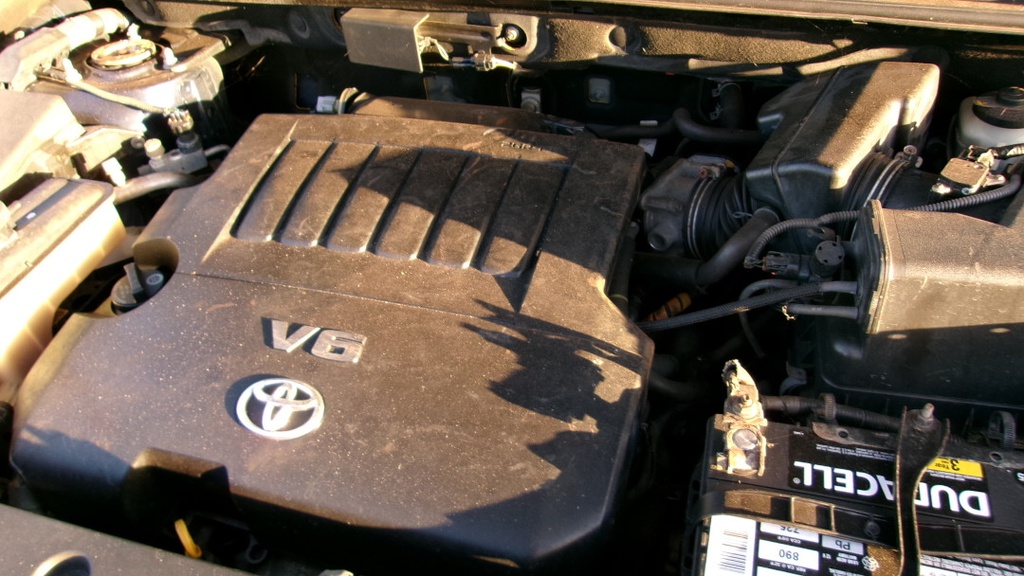 Pacific Auto Auction 2025.10.07.100_0159.JPG