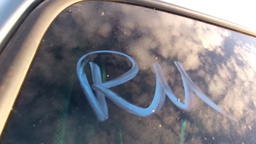 Pacific Auto Auction 2025.10.07.100_0185.JPG