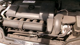 Pacific Auto Auction 2025.10.07.100_0251.JPG