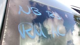 Pacific Auto Auction 2025.10.07.100_0266.JPG