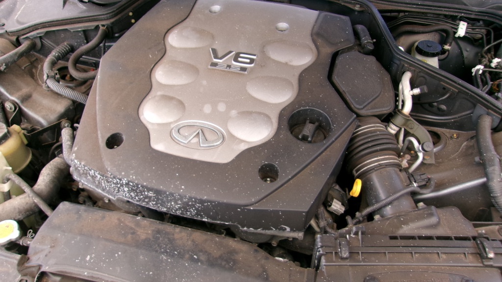 Pacific Auto Auction 2025.10.07.100_0273.JPG