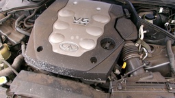 Pacific Auto Auction 2025.10.07.100_0273.JPG