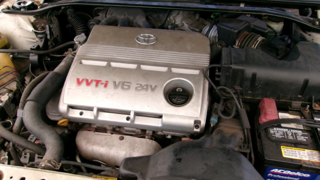 Pacific Auto Auction 2025.10.07.100_0284.JPG