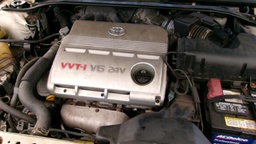 Pacific Auto Auction 2025.10.07.100_0284.JPG