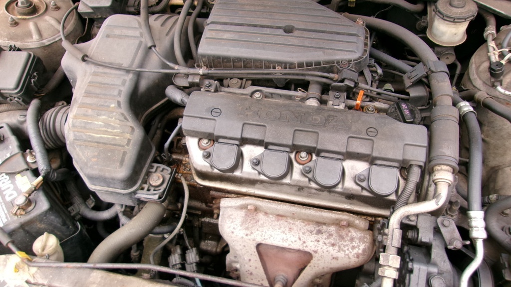 Pacific Auto Auction 2025.10.07.100_0295.JPG