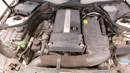 Pacific Auto Auction 2025.10.07.100_0306.JPG